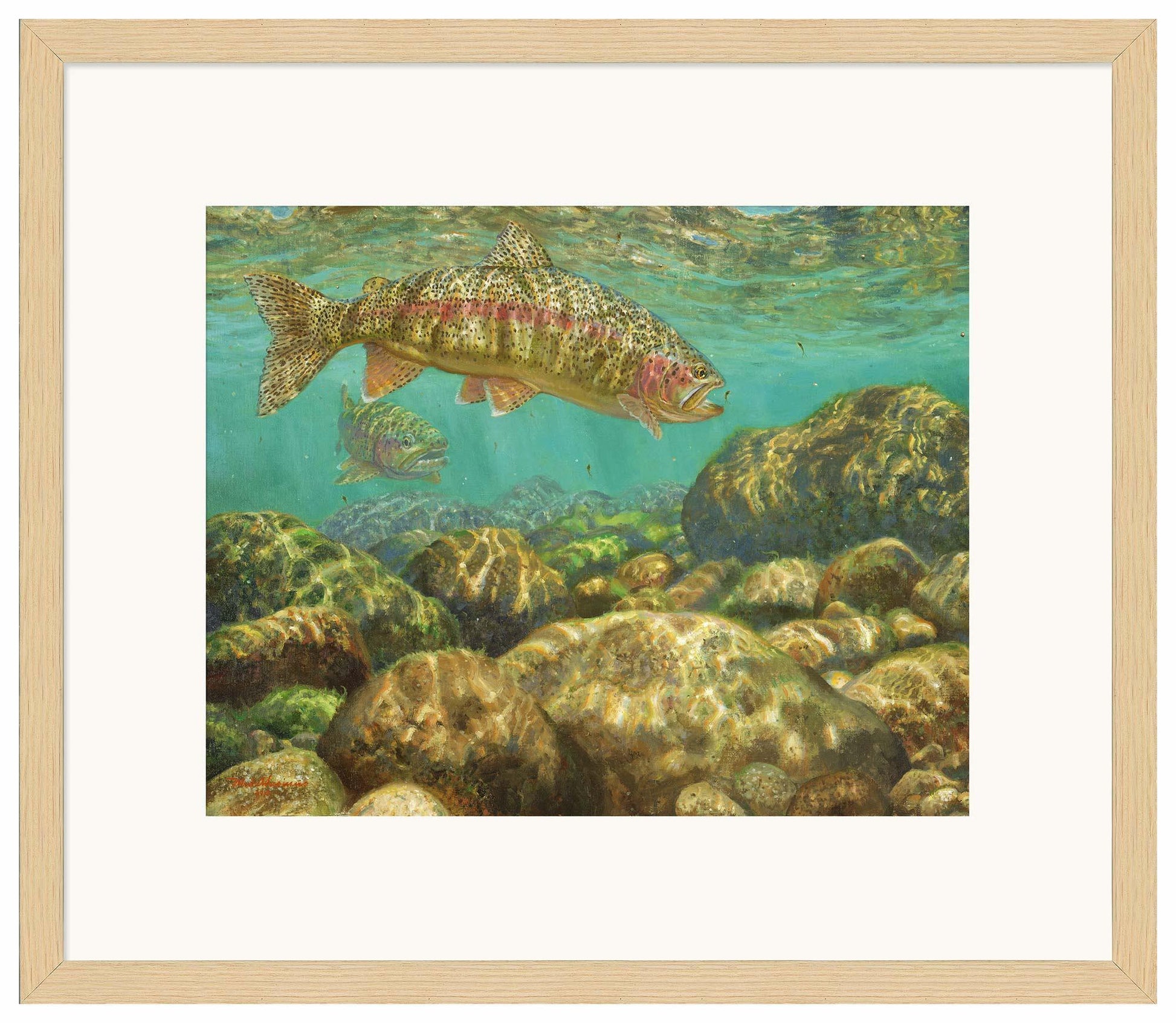 Baetis Feast—Rainbow Trout Limited Edition Paper Print - Wild Wings