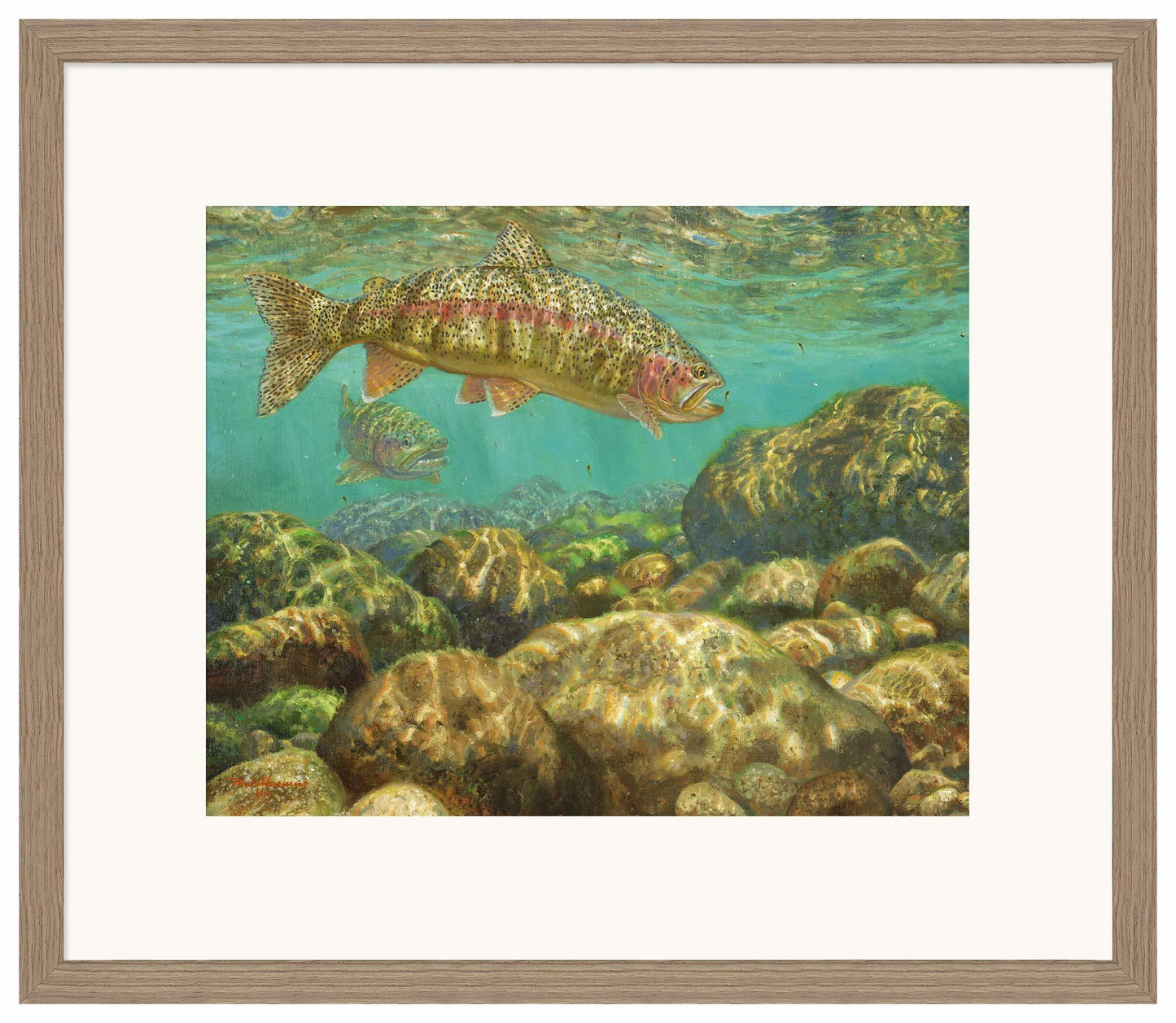 Baetis Feast—Rainbow Trout Limited Edition Paper Print - Wild Wings