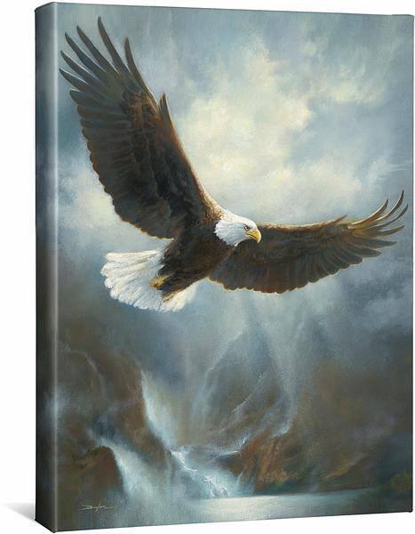 Bald Eagle Gallery Wrapped Canvas - Wild Wings