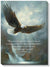 Eagle Art Collection - Wild Wings