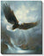 Eagle Art Collection - Wild Wings
