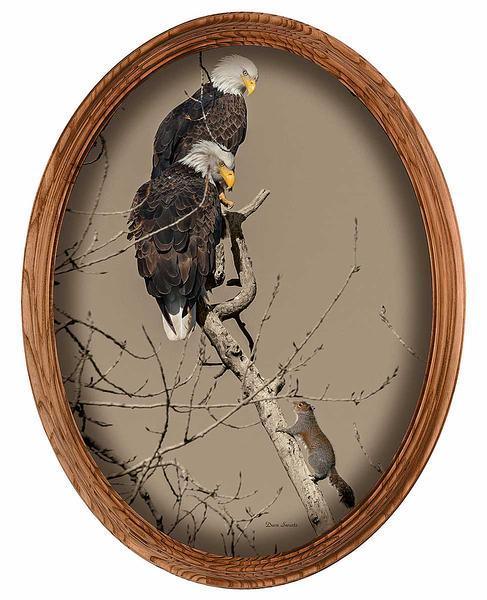 Bald Eagles & Squirrel Framed Canvas Oval - Wild Wings
