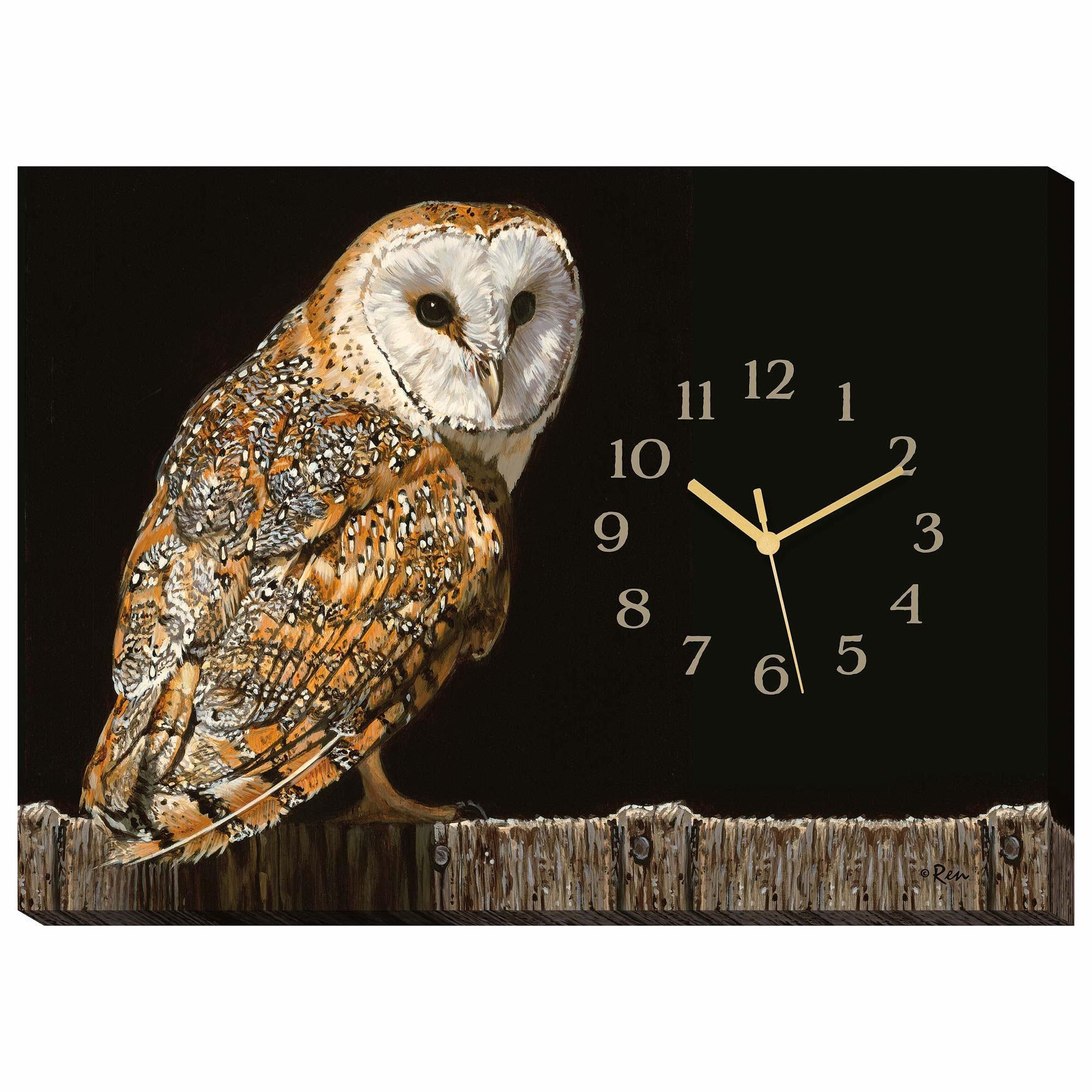 Barn Owl Canvas Clock - Wild Wings