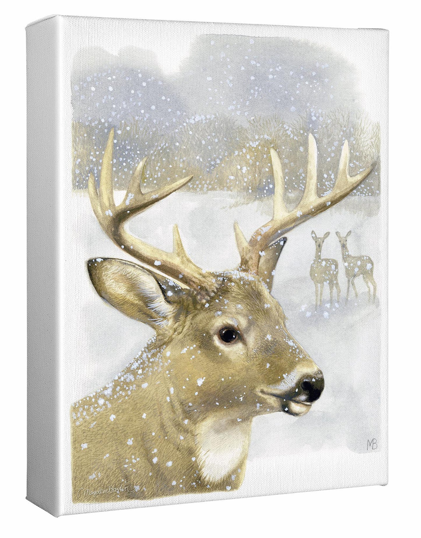 Beautiful Buck Gallery Wrapped Canvas - Wild Wings