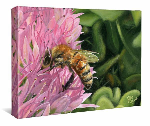 Bee Happy—Honeybee Gallery Wrapped Canvas - Wild Wings