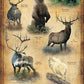 Big Game of North America 12" x 30" Wood Sign - Wild Wings