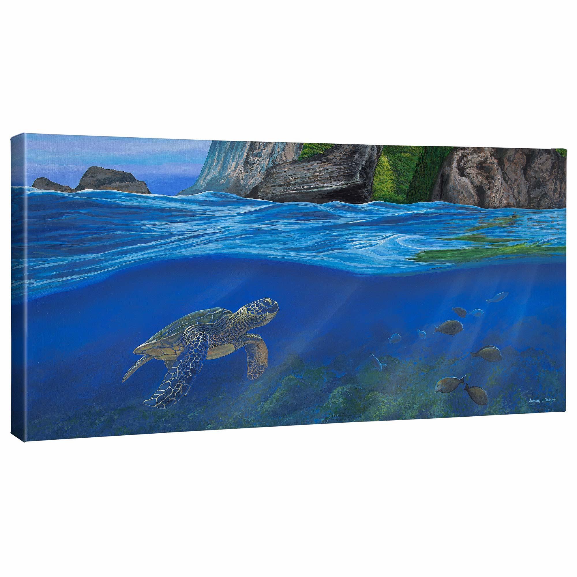Big Island—Sea Turtle Gallery Wrapped Canvas - Wild Wings
