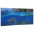 Big Island—Sea Turtle Gallery Wrapped Canvas - Wild Wings