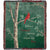 Birch Tree When a Cardinal Appears Throw Blanket - Wild Wings