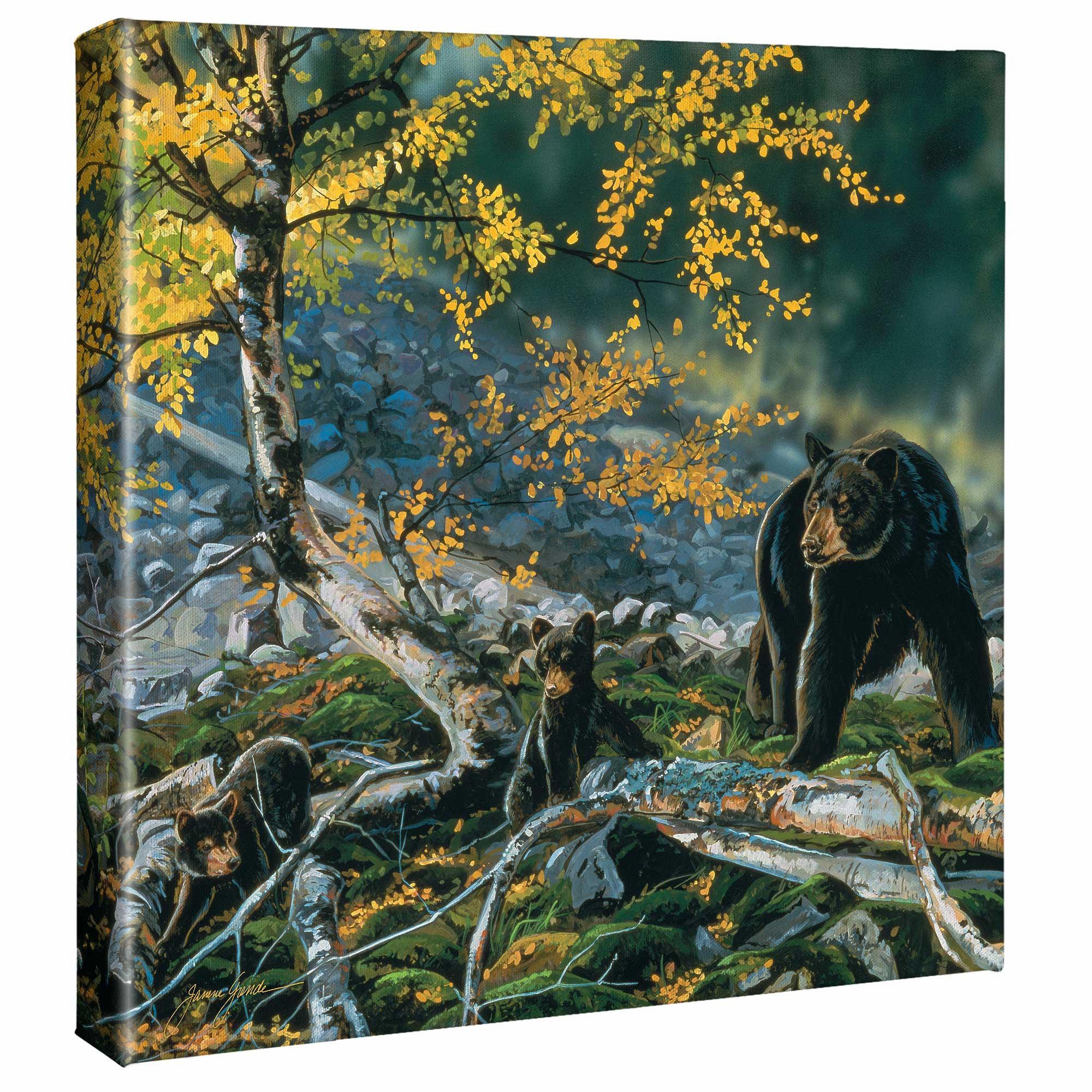 Black Bear and Cub Gallery Wrapped Canvas - Wild Wings