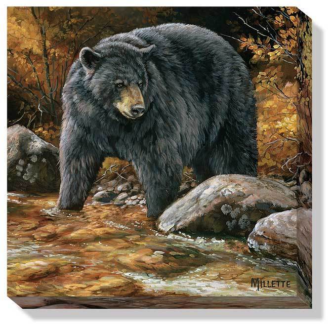 Streamside—Black Bear Art Collection - Wild Wings
