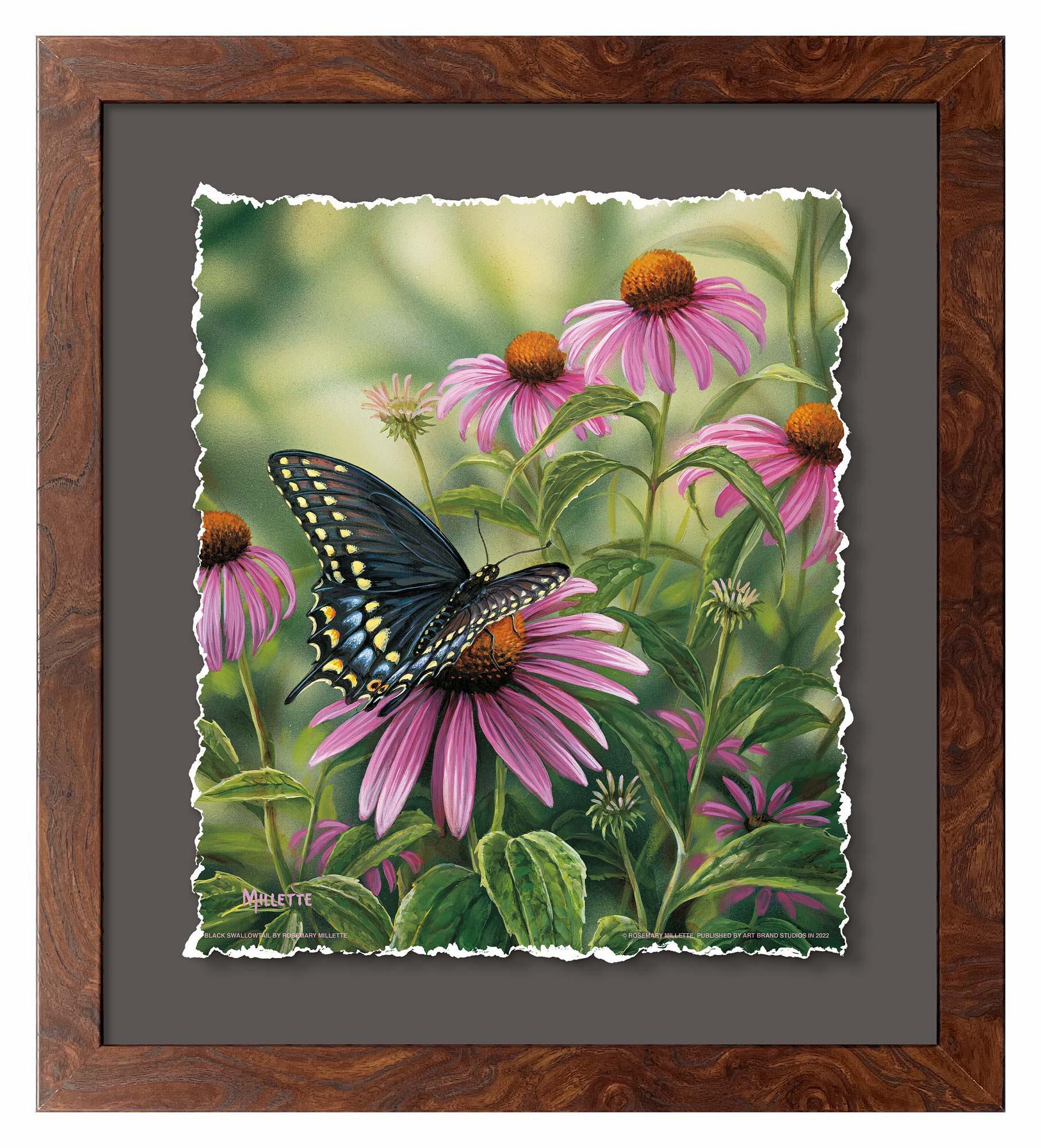 Black Swallowtail Butterfly Deckled Edge Paper Print - Wild Wings
