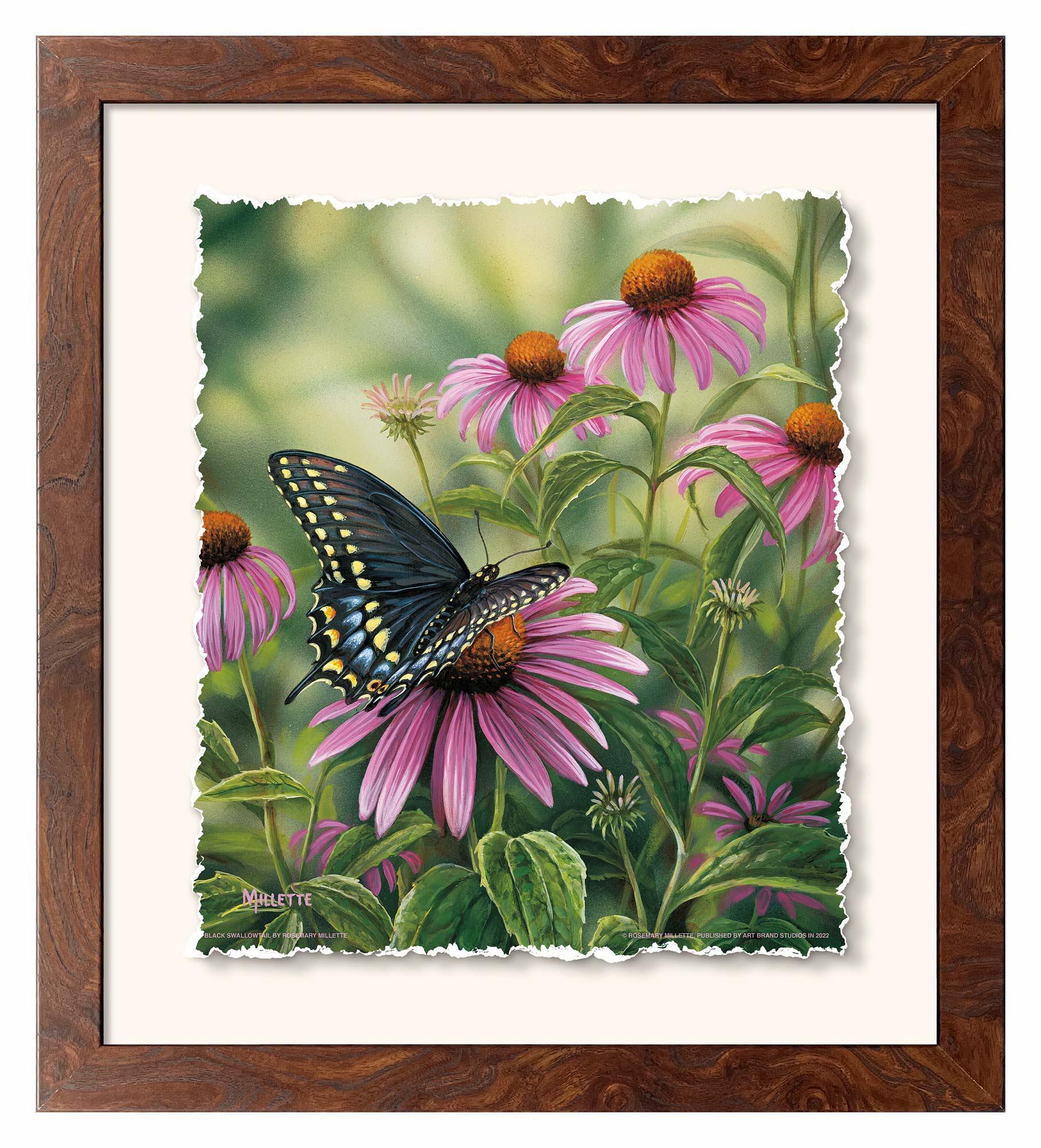 Black Swallowtail Butterfly Deckled Edge Paper Print - Wild Wings