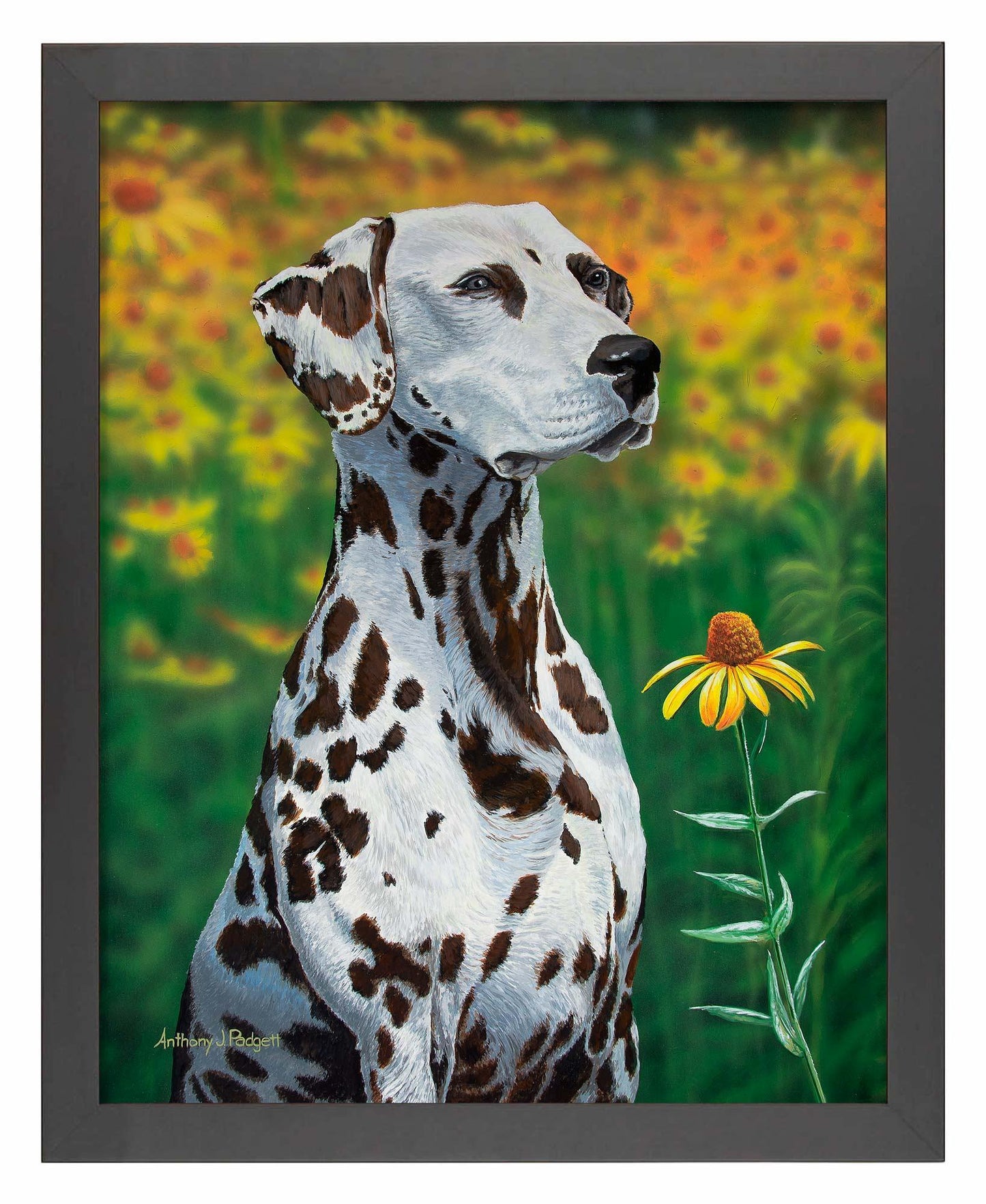 Blossoms of Color—Dalmatian Art Print - Wild Wings