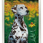 Blossoms of Color—Dalmatian Art Print - Wild Wings