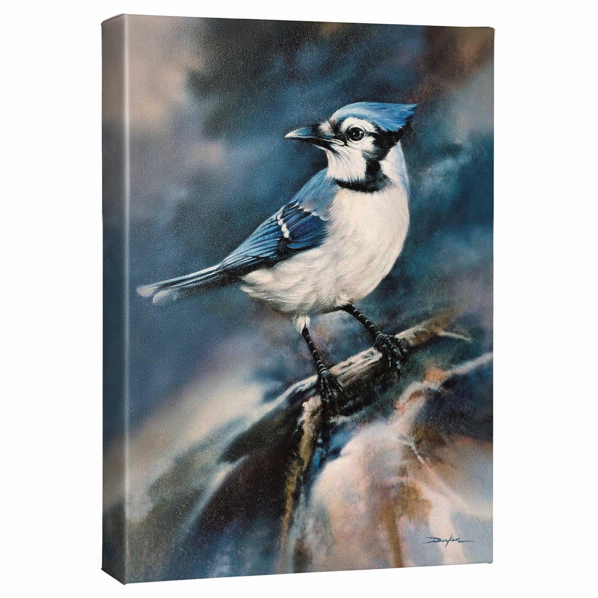 Blue Jay Gallery Wrapped Canvas - Wild Wings