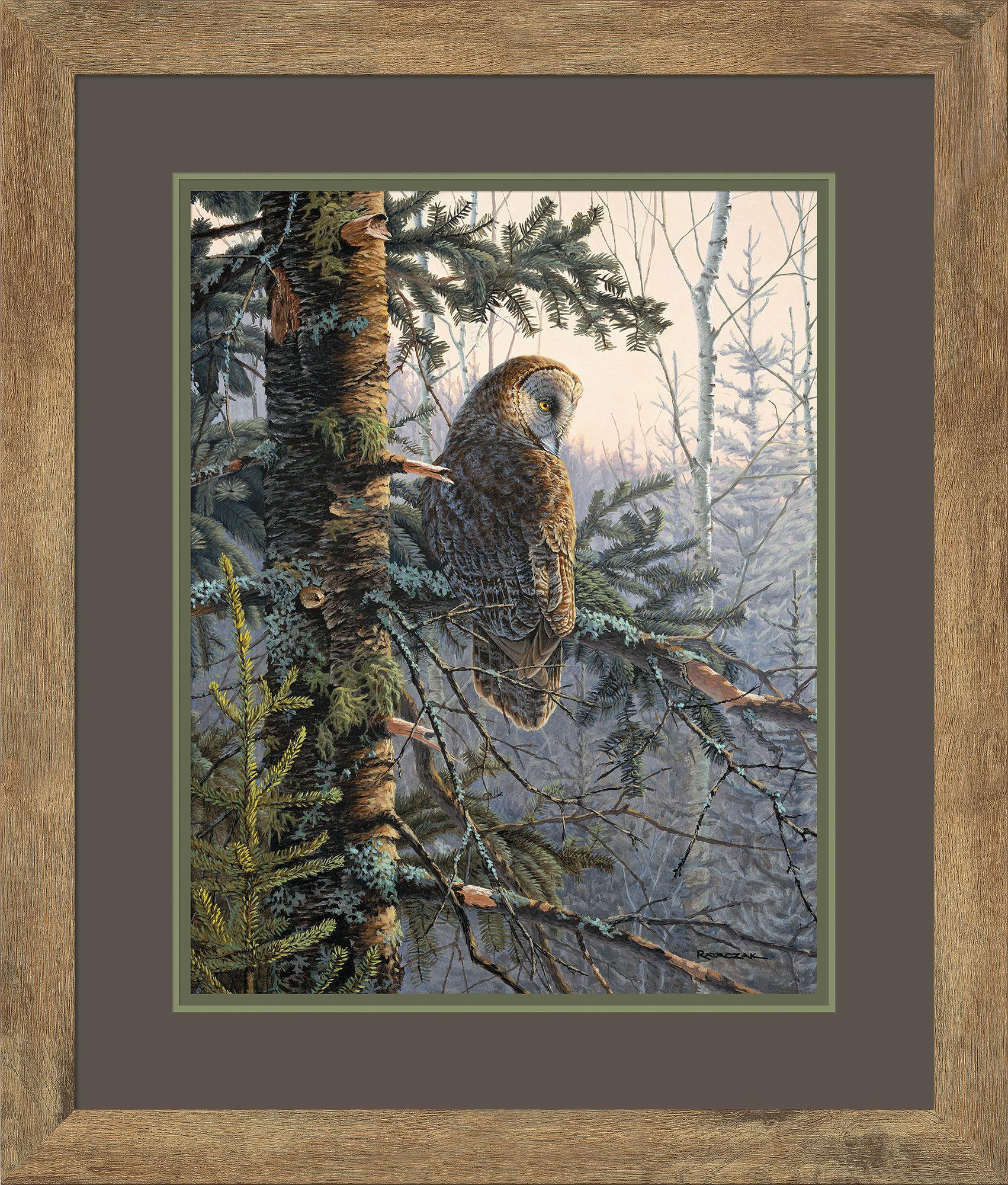 Top Original boreal owl oil painting