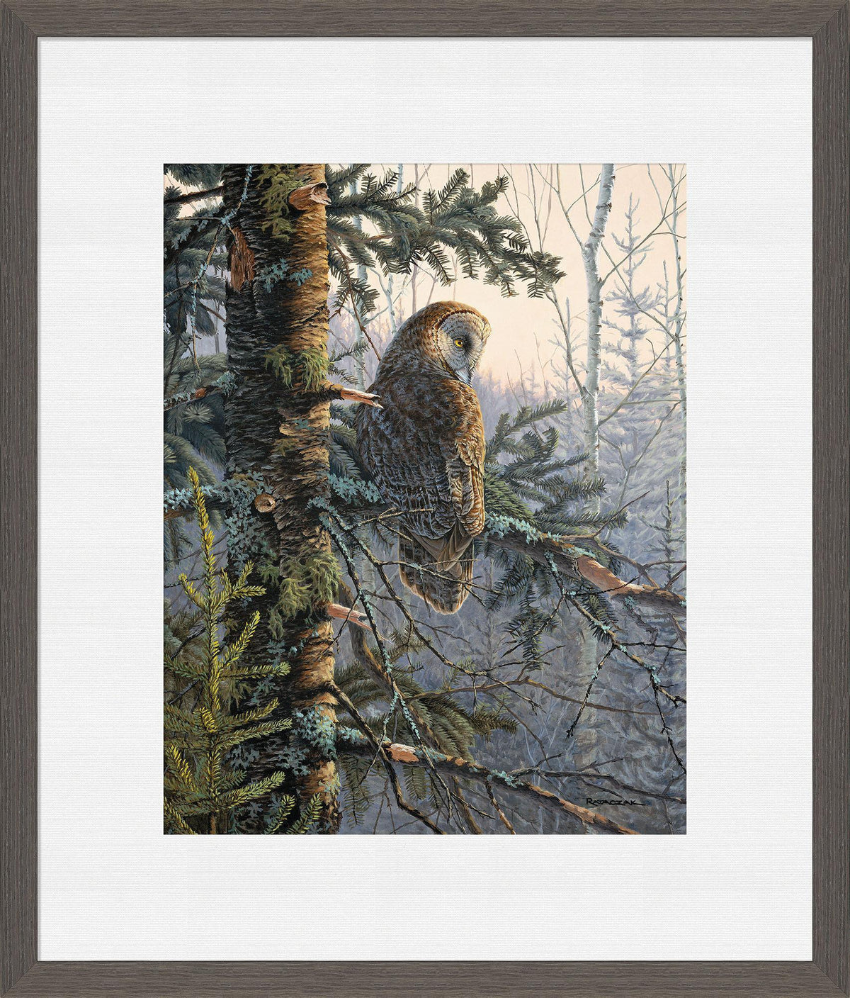 Boreal Twilight—Great Gray Owl Limited Edition Paper Print - Wild Wings