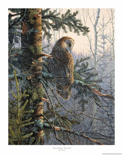 Boreal Twilight—Great Gray Owl Limited Edition Paper Print - Wild Wings