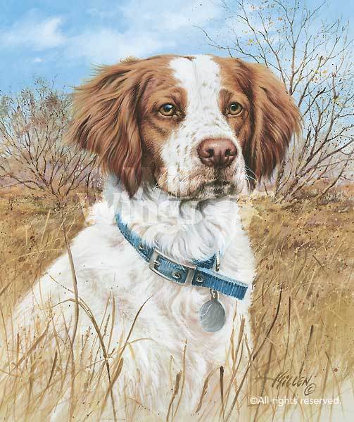 That's My Dog, Too!—Brittany Spaniel Art Collection - Wild Wings