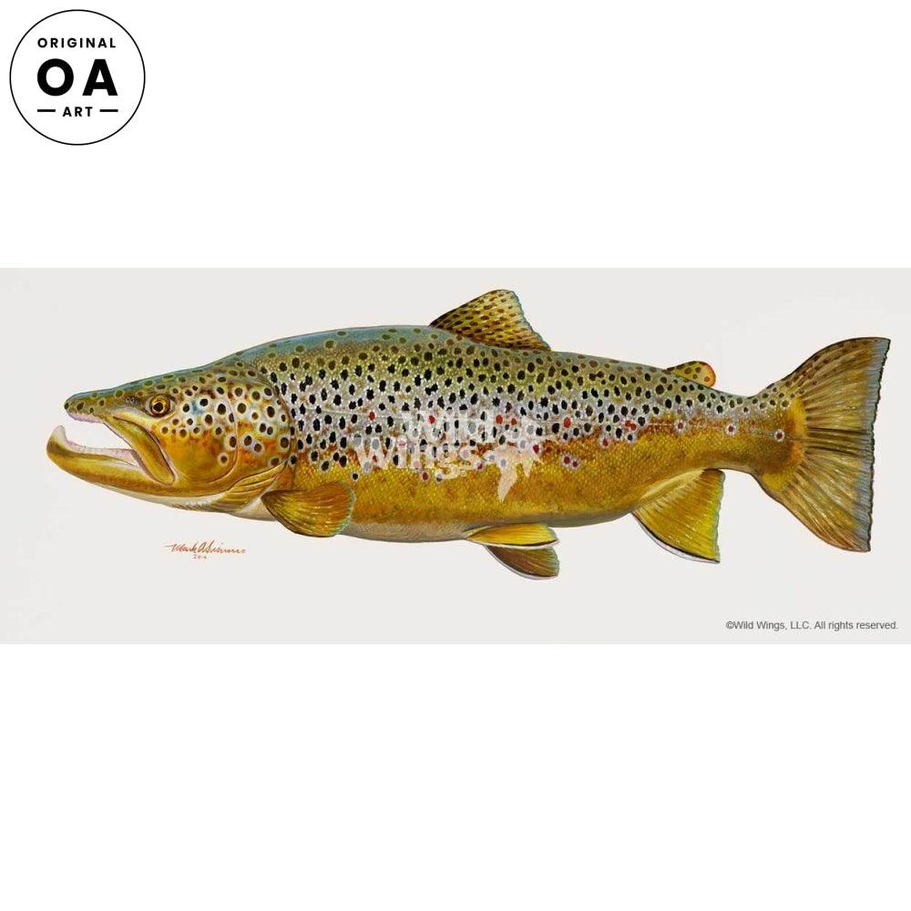 Brown Trout Original Acrylic Painting - Wild Wings