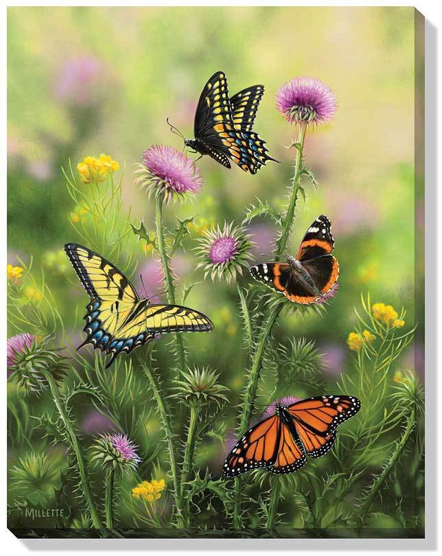Butterflies and Thistles Art Collection - Wild Wings