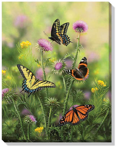 Butterflies and Thistles Art Collection - Wild Wings