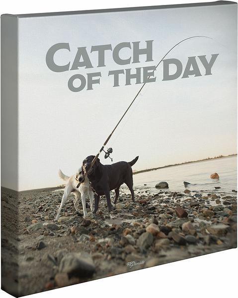 Catch of the Day Gallery Wrapped Canvas - Wild Wings