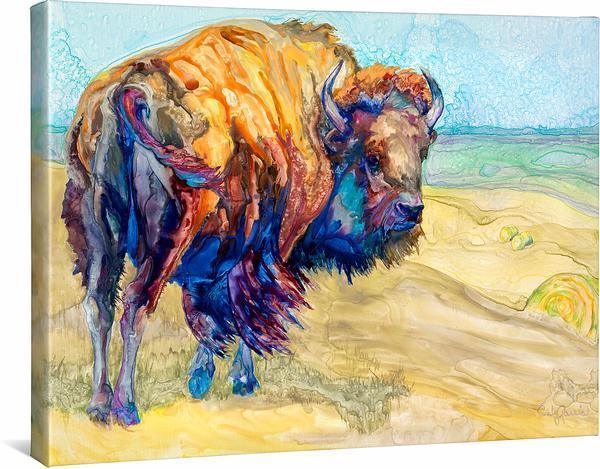 Changing Time—Bison Gallery Wrapped Canvas - Wild Wings