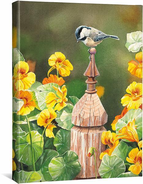 Chickadee & Nasturtiums Gallery Wrapped Canvas - Wild Wings