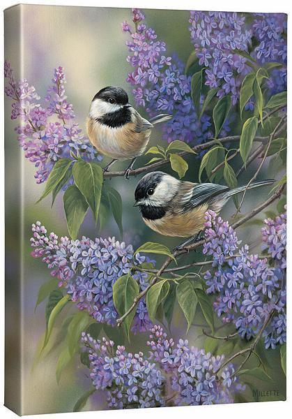 Chickadees & Lilacs Gallery Wrapped Canvas - Wild Wings