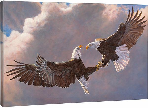 Clash of the Titans—Bald Eagles Gallery Wrapped Canvas - Wild Wings