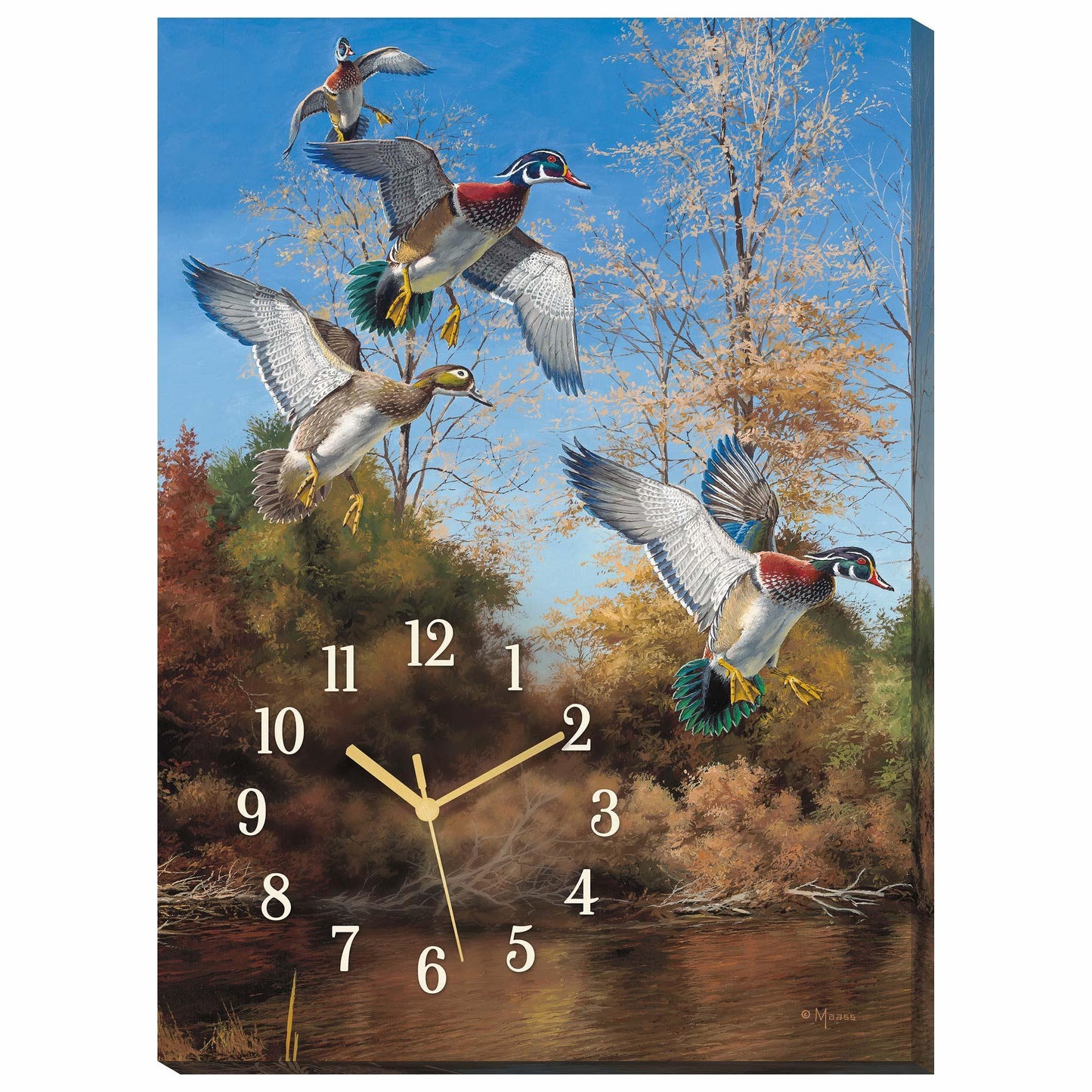 Dropping Fast—Wood Ducks Canvas Clock - Wild Wings
