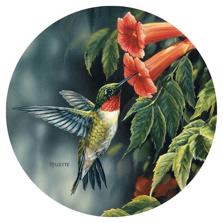 Hummingbird Coasters - Wild Wings