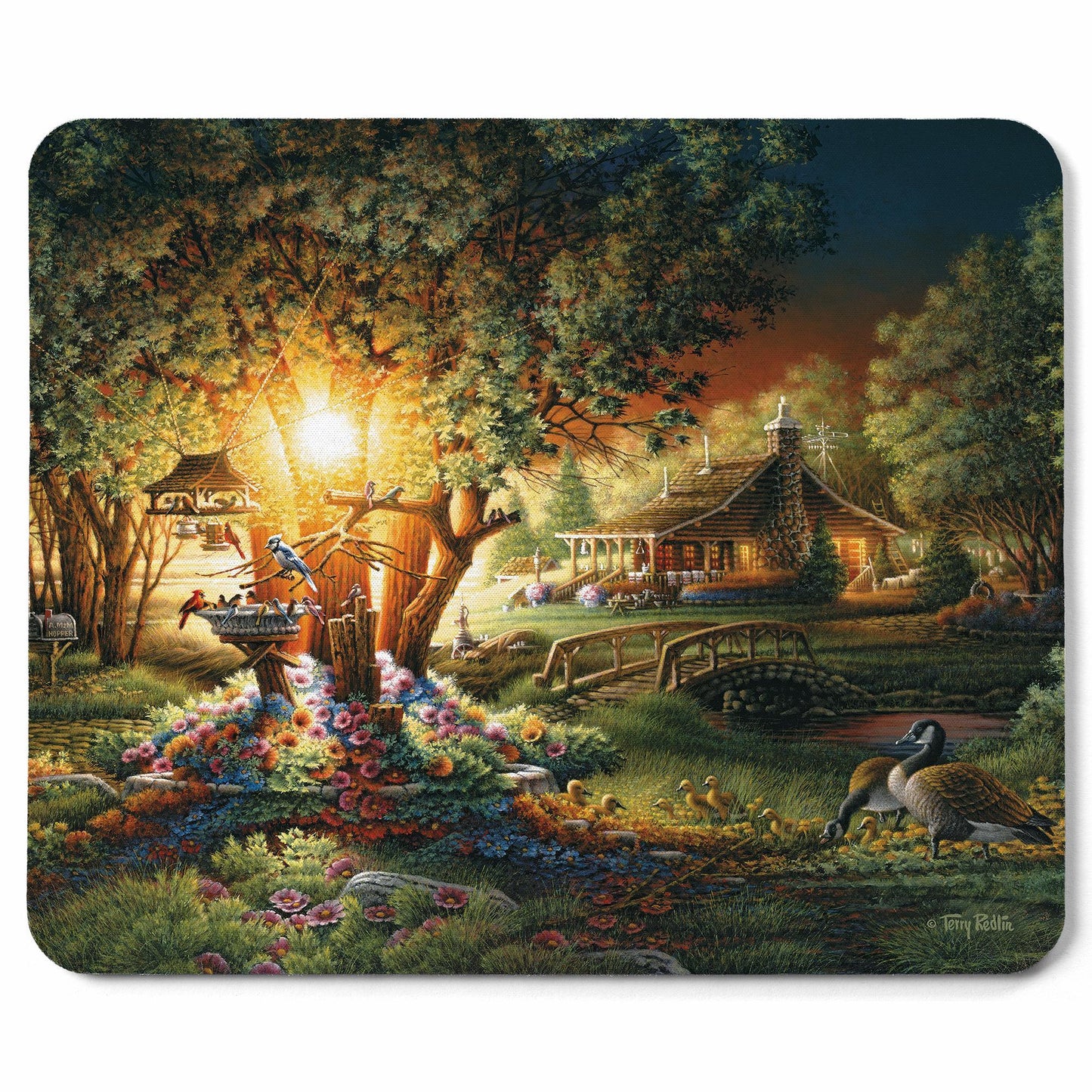 Colours of Spring Mouse Pad - Wild Wings