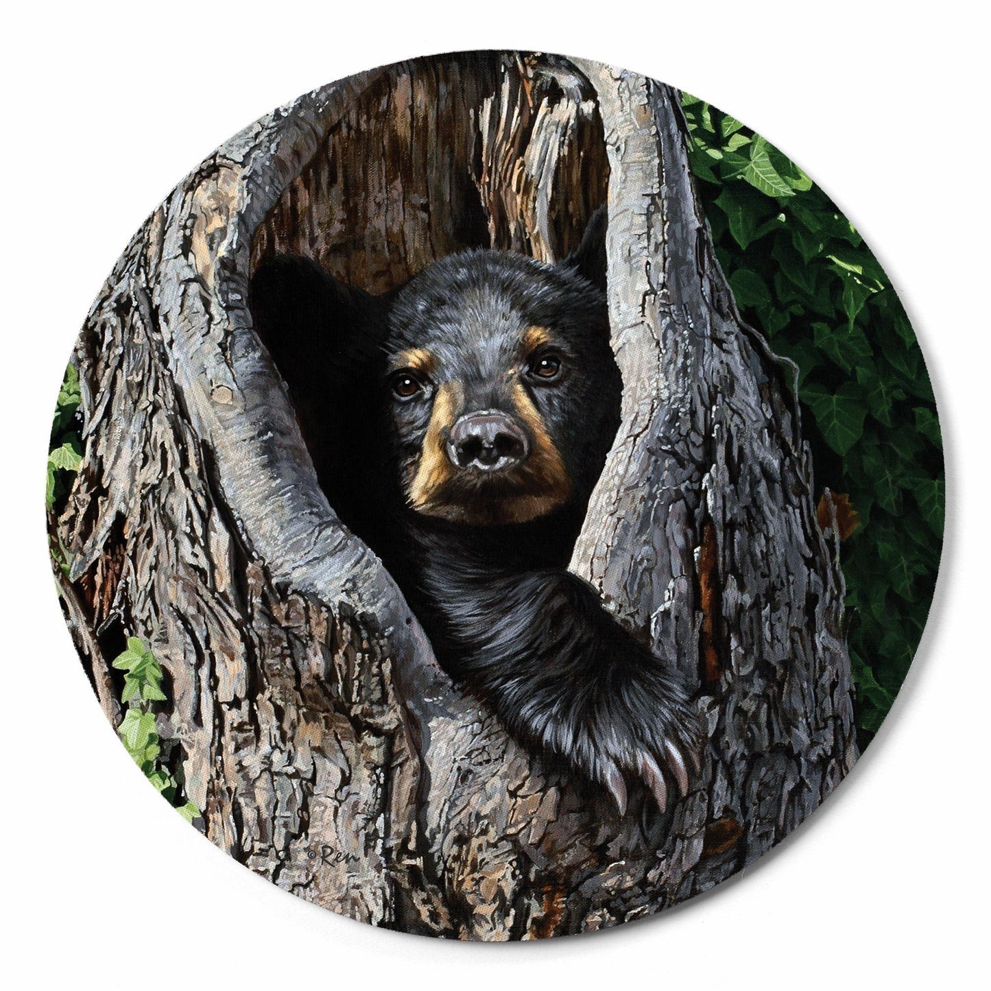 Cubby Hole - Bear Cub Mouse Pad - Wild Wings