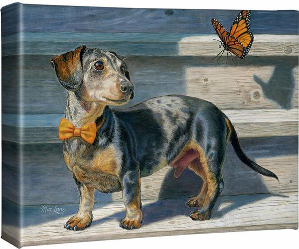 Dachshund Gallery Wrapped Canvas - Wild Wings