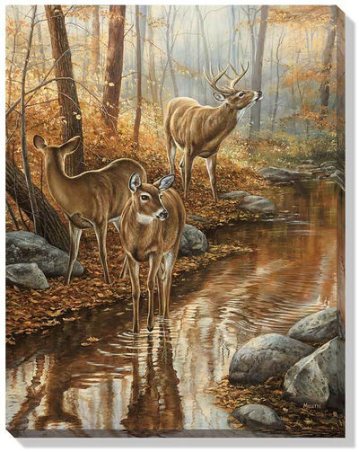 Backwater Passage—Deer Art Collection - Wild Wings
