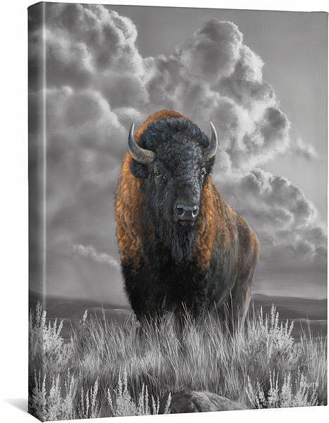Distant Thunder—Bison Gallery Wrapped Canvas - Wild Wings