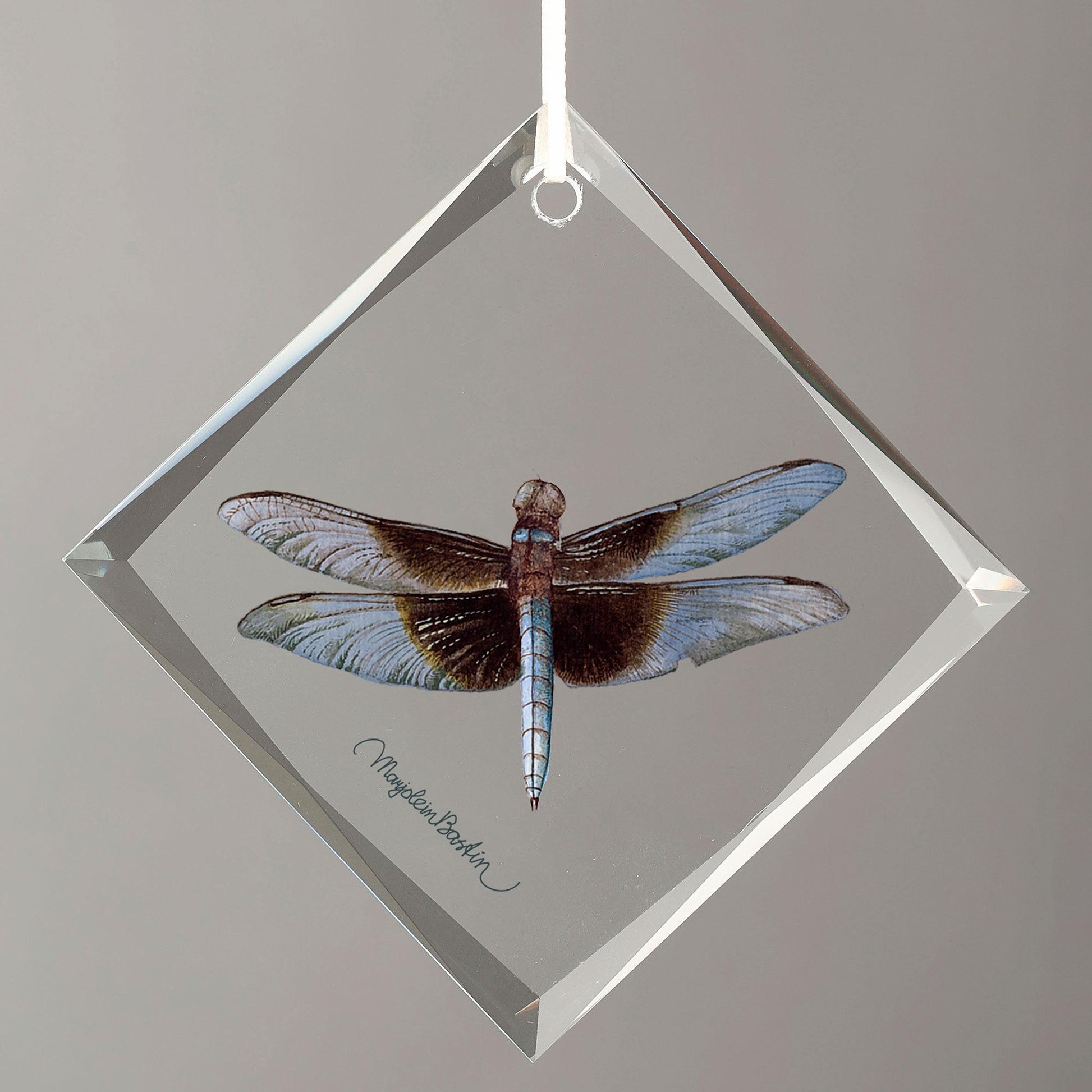 Widow Skimmer - Male Diamond-Shape Glass Ornament - Wild Wings