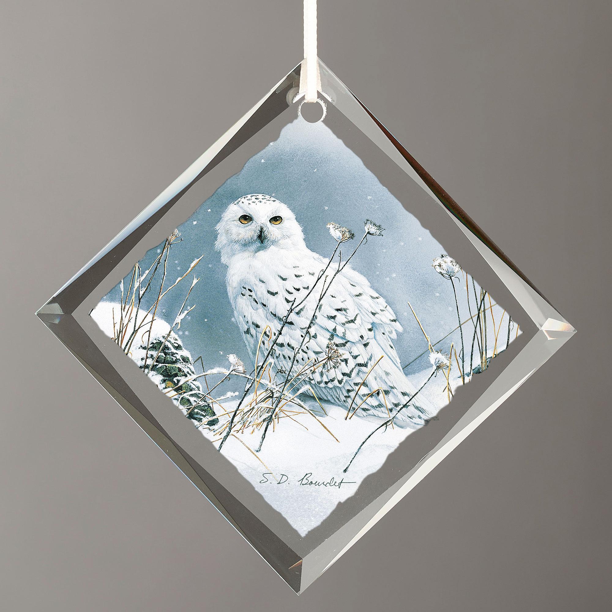 On the North Wind - Snowy Owl Diamond-Shape Glass Ornament - Wild Wings