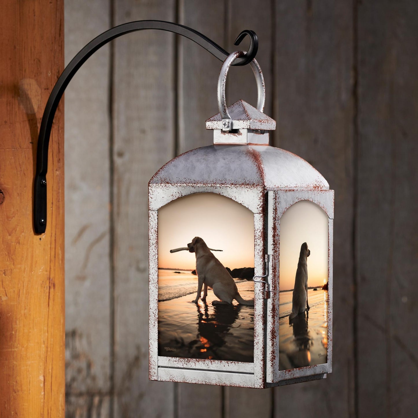 Dogs on The Beach Candle Lantern (Galvanized Gray) - Wild Wings