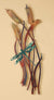 Dragonfly & Cattails Metal Wall Art - Wild Wings