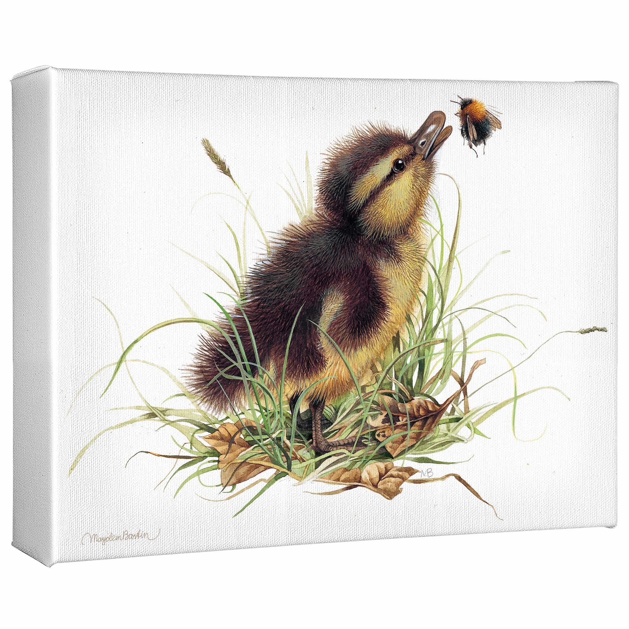 Duckling Distraction Gallery Wrapped Canvas - Wild Wings