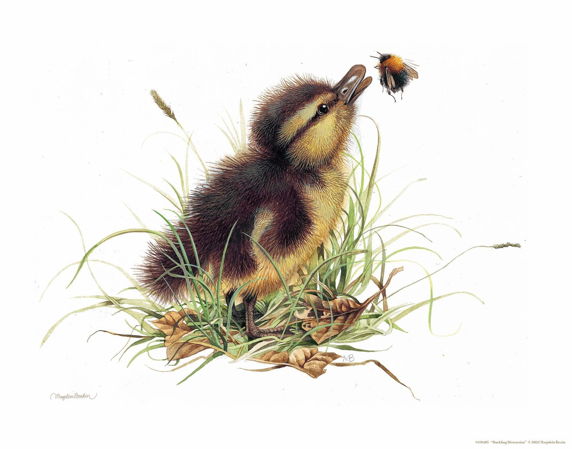 Duckling Distraction Art Print - Wild Wings