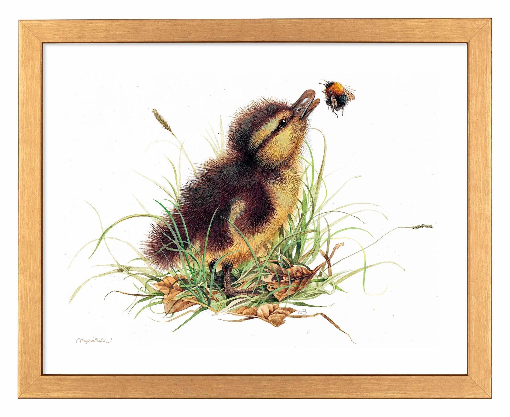 Duckling Distraction Art Print - Wild Wings