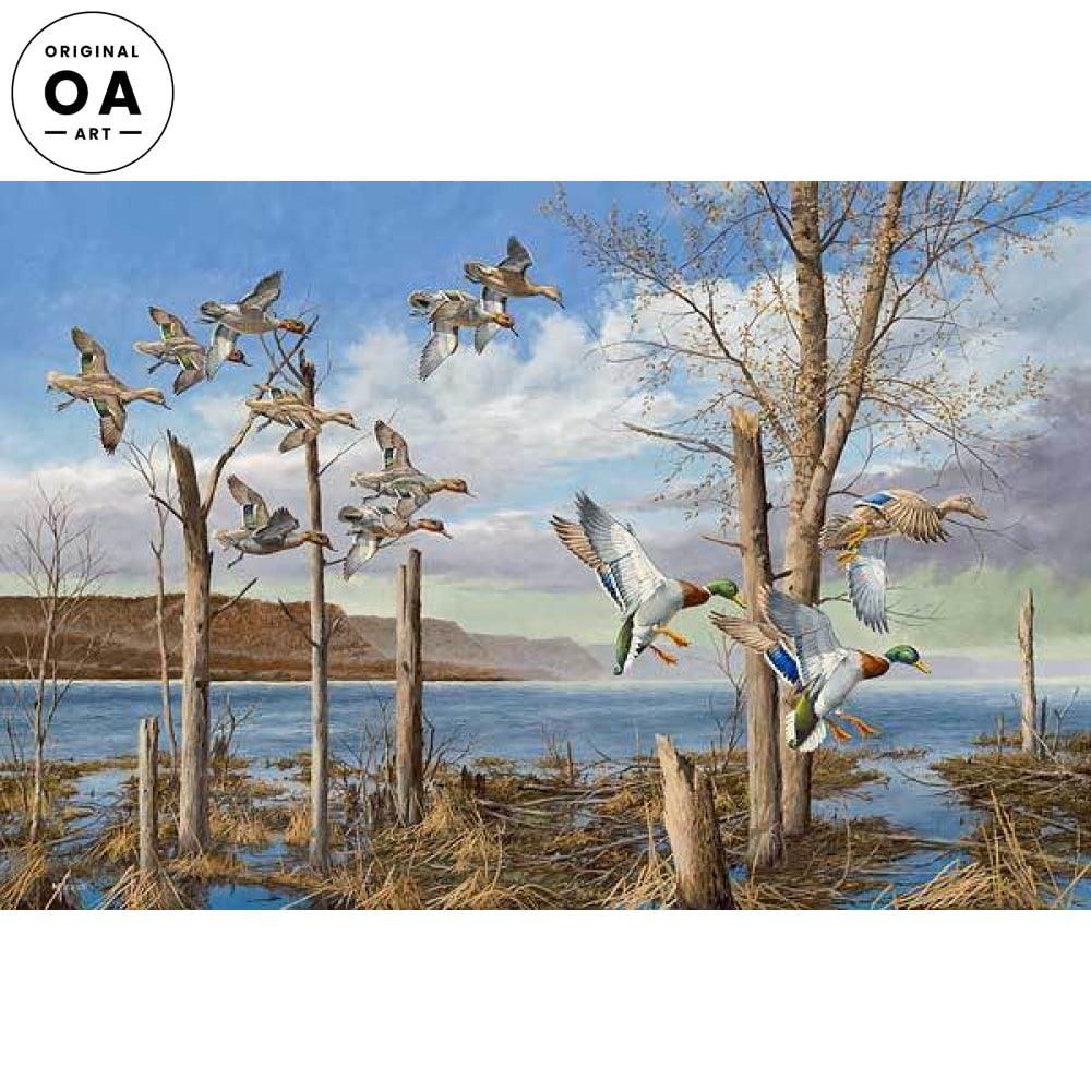 Wild Wings on the Upper Mississippi—Mallards and Green—winged Tea Original Oil Painting - Wild Wings