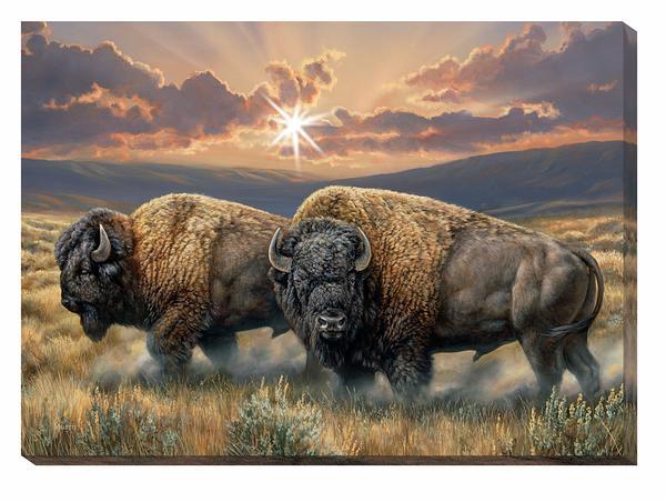 Dusty Plains—Bison Lighted Wrapped Canvas - Wild Wings