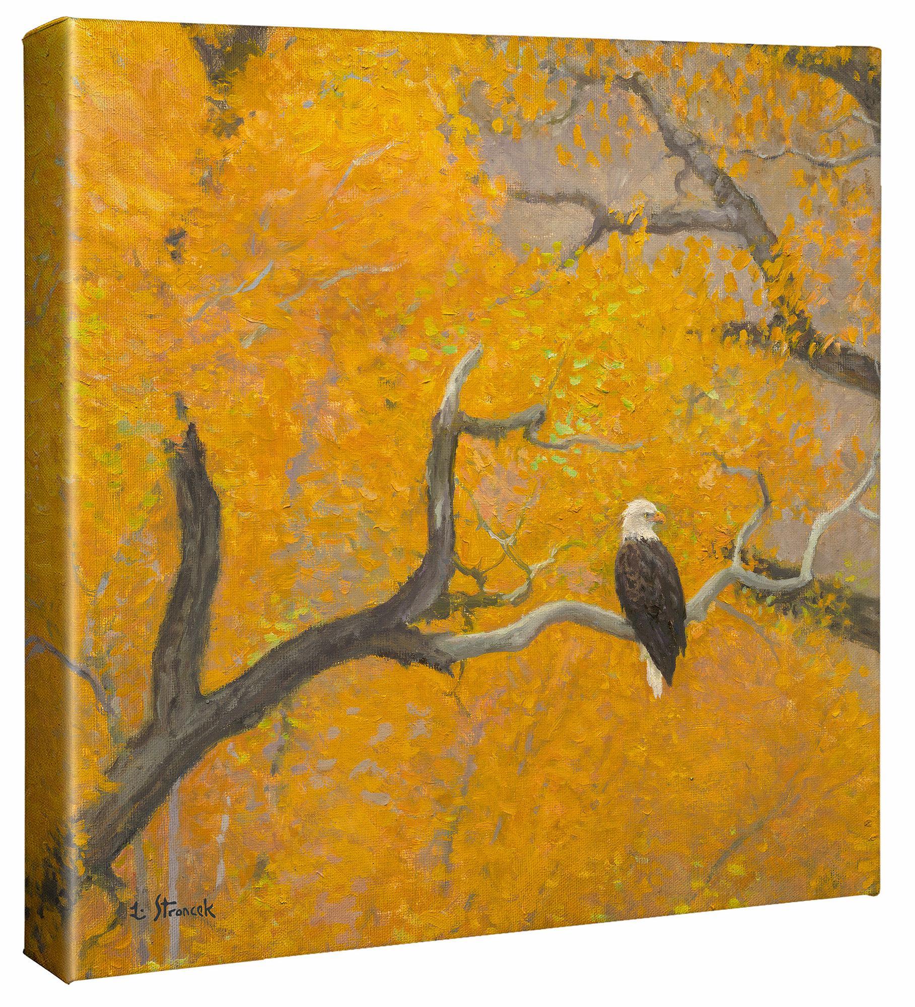 Eagle and Autumn Cottonwoods Gallery Wrapped Canvas - Wild Wings