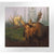 Early Morning Moose Limited Edition Paper Print - Wild Wings